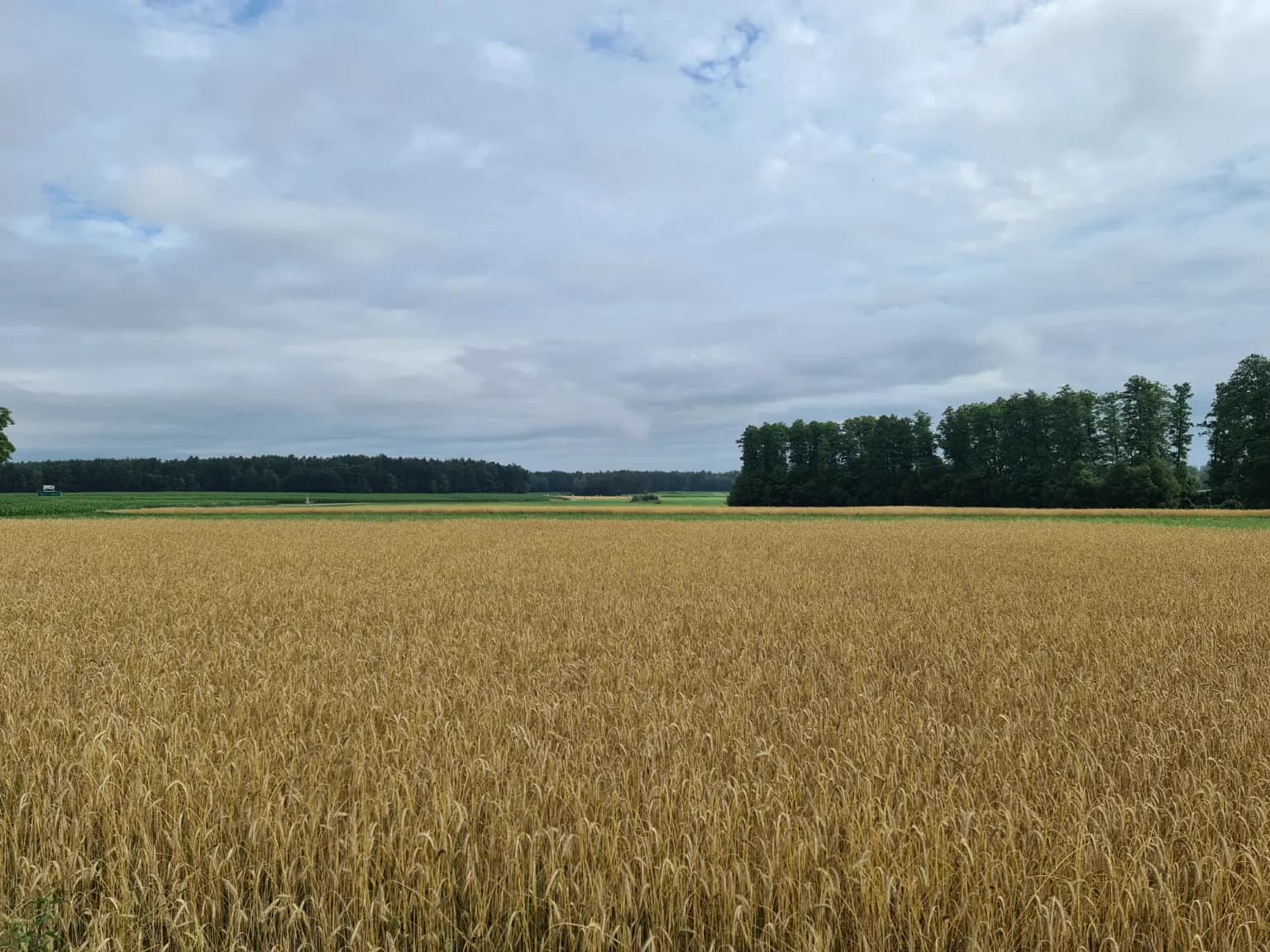 Przestrzeń i spokój — Janczewo Sukmanki